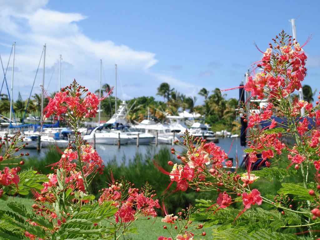 Tamarind Reef Resort Spa & Marina Christianted Bagian luar foto