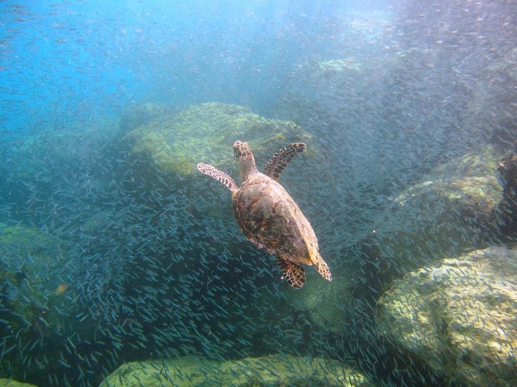 Tamarind Reef Resort Spa & Marina Christianted Bagian luar foto