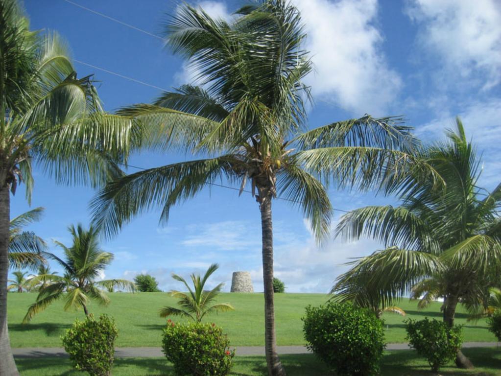 Tamarind Reef Resort Spa & Marina Christianted Bagian luar foto